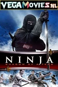 Download Ninja: Shadow of a Tear (2013) Dual Audio {Hindi-English} 480p [300MB] | 720p [1GB] –