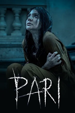 Download Pari (2018) Hindi Full Movie WEB-DL 480p [400MB] | 720p [900MB] | 1080p [4GB] –