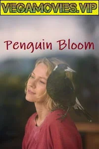 Download Penguin Bloom (2020) HDCAM English 480p [250MB] | 720p [850MB] –