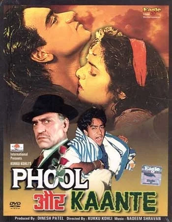 Download Phool Aur Kaante (1991) Hindi Full Movie WeB-DL 480p [400MB] | 720p [1.3GB] | 1080p [4GB] –