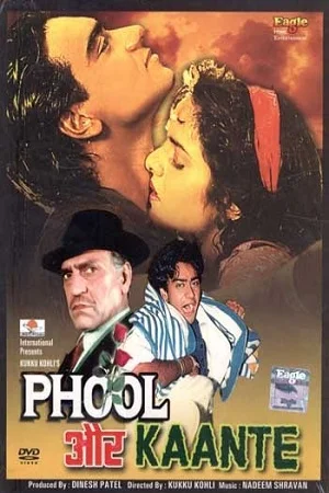 Download Phool Aur Kaante (1991) Hindi Full Movie 480p [450MB] | 720p [1.4GB] | 1080p [4.3GB] –