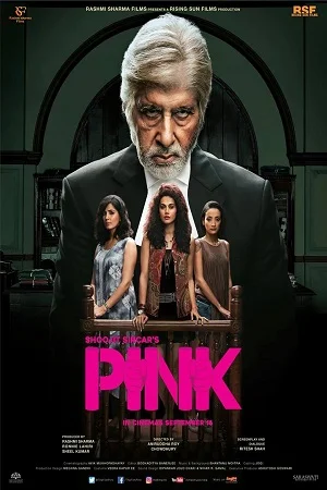 Download Pink (2016) Hindi Full Movie 480p [350MB] | 720p [1GB] | 1080p [2GB] –