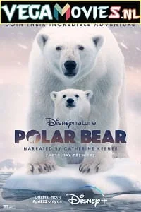 Download Polar Bear (2022) {English With Subtitles} 480p [250MB] | 720p [700MB] | 1080p [2.4GB] –