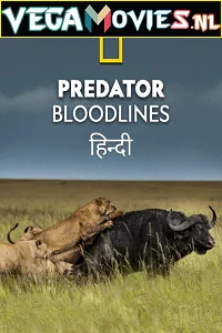 Download Predator Bloodlines (2021) Season 1 Hindi Complete DSNP WEB Series 480p | 720p HDRip –