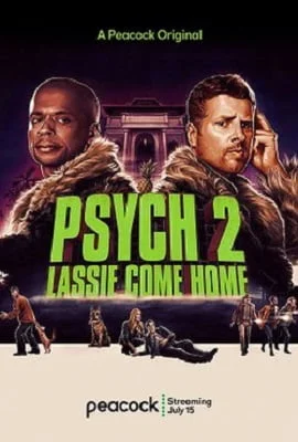 Download Psych 2 (2020) Dual Audio {Hindi-English} 480p [300MB] | 720p [800MB] –