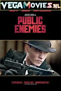 Download Public Enemies (2009) Dual Audio {Hindi-English} 480p [450MB] | 720p [1.2GB] | 1080p [2.7GB] –