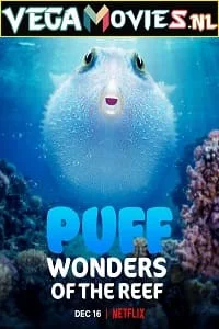 Download Puff: Wonders of the Reef (2021) Dual Audio {Hindi-English} 720p [350MB] HEVC HDRip –