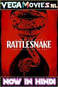 Download Netflix Rattlesnake (2019) Dual Audio {Hindi-English} 480p [550MB] | 720p [1GB] | 1080p [1.6GB] –