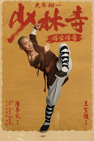 Download Rising Shaolin: The Protector (2021) HDRip Dual Audio {Hindi-Chinese} 480p [350MB] | 720p [1GB] –