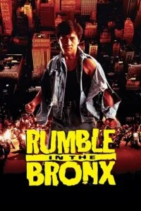 Download Rumble In The Bronx (1995) BluRay Dual Audio {Hindi-English} 480p [300MB] | 720p [800MB] | 1080p [2GB] –