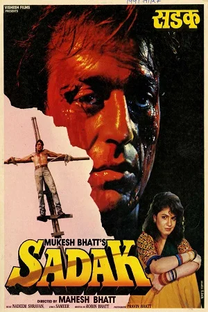 Download Sadak (1991) Hindi Full Movie 480p [390MB] | 720p [1GB] | 1080p [3.3GB] –