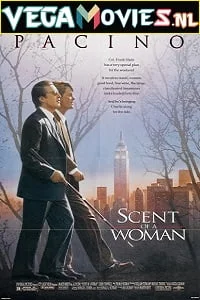 Download Scent of a Woman (1992) Dual Audio {Hindi-English} 480p [500MB] | 720p [1GB] | 1080p [2.6GB] –