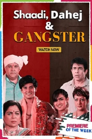 Download Shaadi, Dahej and Gangster (2021) Hindi Full Movie 480p [300MB] | 720p [800MB] –