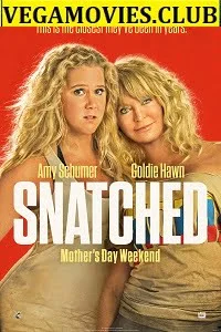 Download Snatched (2017) Dual Audio {Hindi-English} 480p [300MB] | 720p [1GB] –