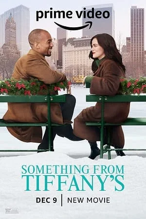 Download Something from Tiffanys (2022) Dual Audio {Hindi-English} 480p [300MB] | 720p [800MB] | 1080p [2GB] –