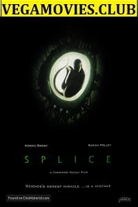 Download Splice (2009) Dual Audio {Hindi-English} 480p [350MB] | 720p [1GB] –