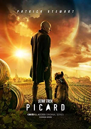 Download Netflix Star Trek: Picard (2020) Season 1 Hindi {All Episodes} 480p & 720p –