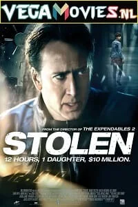 Download Stolen (2012) Dual Audio {Hindi-English} 480p [300MB] | 720p [800MB] | 1080p [1.7GB] –