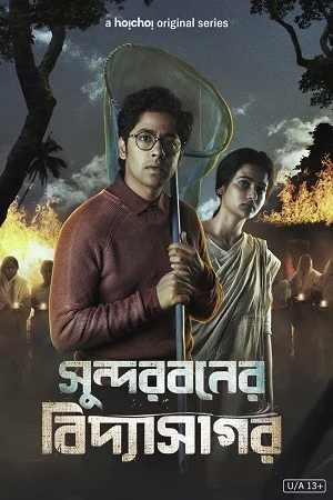 Download Sundarban Ka Vidyasagar Season 1 (2022) Hindi Dubbed [Hoichoi] Complete Web Series 480p | 720p WEB-DL –