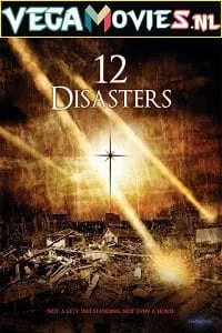 Download The 12 Disasters of Christmas (2012) Dual Audio {Hindi-English} 480p [300MB] | 720p [1.2GB] –