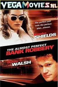 Download The Almost Perfect Bank Robbery (1997) Dual Audio [Hindi-English] WeB-DL 480p [350MB] | 720p [950MB] –