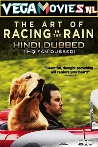 Download The Art of Racing in the Rain (2019) Dual Audio {Hindi-English} 480p [350MB] | 720p [1GB] –