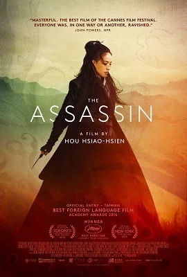 Download The Assassin (2015) Dual Audio {Hindi-English} 480p [350MB] | 720p [1GB] –