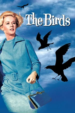 Download The Birds (1963) Dual Audio {Hindi-English} 480p [400MB] | 720p [1.2GB] | 1080p [2.5GB] –