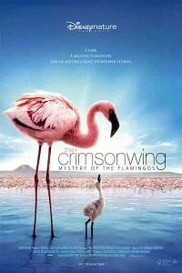 Download The Crimson Wing Mystery of the Flamingos (2008) Dual Audio {Hindi-English} 480p [300MB] | 720p [1GB] –