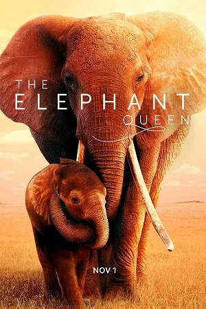 Download The Elephant Queen (2019) WEB-DL Dual Audio {Hindi-English} 480p [320MB] | 720p [900MB] | 1080p [2GB] –