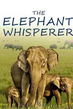 Download The Elephant Whisperers (2022) WEB-DL Dual Audio {Hindi + English} 480p [300MB] | 720p [470MB] | 1080p [1.4GB] | 2160p 4K [4.1GB] –