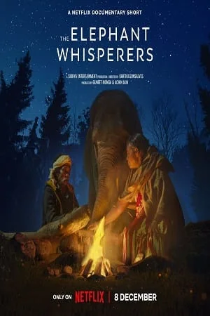 Download The Elephant Whisperers (2022) WEB-DL Dual Audio {Hindi-English} 480p [300MB] | 720p [470MB] | 1080p [1.4GB] –