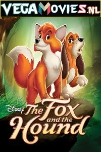 Download The Fox and the Hound (1981) Dual Audio {Hindi-English} 480p [250MB] | 720p [800MB] –