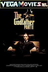 Download The Godfather Part 2 (1974) Dual Audio {Hindi-English} 480p [600MB] | 720p [2GB] | 1080p [5GB] –