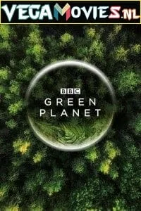 Download The Green Planet (2022) Season 1 [Complete] English WEB Series 720p [300MB] WEB-DL –