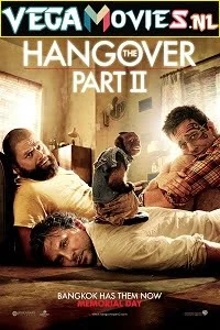 Download The Hangover Part 2 (2011) Dual Audio {Hindi-English} 480p [350MB] | 720p [1GB] | 1080p [3.8GB] –