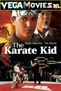 Download The Karate Kid (1984) Dual Audio {Hindi-English} 480p [400MB] | 720p [1GB] | 1080p [4GB] –