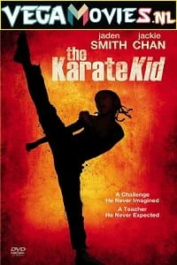 Download The Karate Kid (2010) Dual Audio {Hindi-English} 480p [400MB] | 720p [1.2GB] | 1080p [5GB] –