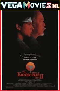 Download The Karate Kid Part 2 (1986) Dual Audio {Hindi-English} 480p [400MB] | 720p [820MB] | 1080p [3GB] –