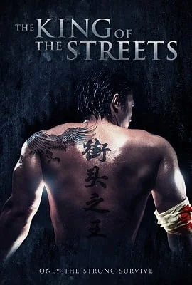 Download The King of the Streets (2012) Dual Audio {Hindi-English} 480p [300MB] | 720p [1GB] –