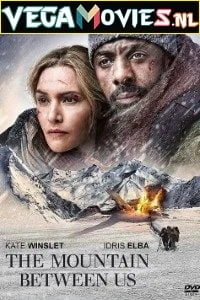 Download The Mountain Between Us (2017) Dual Audio [Hindi-English] 480p [350MB] | 720p [1.1GB] –