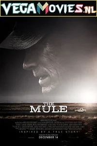 Download The Mule (2018) English With Subtitles 480p [500MB] | 720p [900MB] –