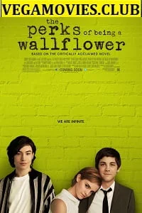 Download The Perks of Being a Wallflower (2012) BluRay English Full Movie 480p [400MB] | 720p [800MB] –