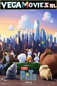 Download The Secret Life of Pets (2016) Dual Audio [Hindi-English] 480p [350MB] | 720p [850MB] | 1080p [3.2GB] –