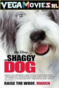 Download The Shaggy Dog (2006) Dual Audio {Hindi-English} 480p [300MB] | 720p [1GB] –