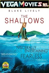 Download The Shallows (2016) Dual Audio {Hindi-English} 480p [350MB] | 720p [950MB] | 1080p [1.5GB] –