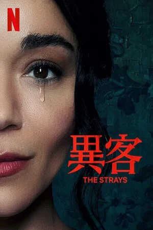 Download The Strays – Netflix Original (2023) WEB-DL Dual Audio {Hindi-English} 480p [300MB] | 720p [650MB] | 1080p [1.3GB] –