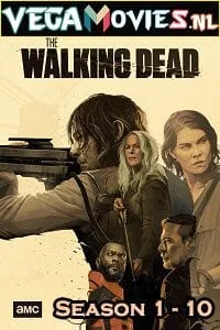 Download The Walking Dead (Seasons 1 – 10) English With Subtitles Complete Series WeB-DL 720p [350MB] –