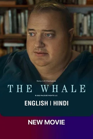 Download The Whale (2022) WEB-DL [Hindi ORG – English] Full Movie 480p [350MB] | 720p [1.3GB] | 1080p [3.3GB] –