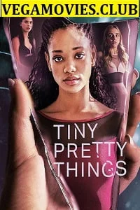 Download Tiny Pretty Things (2020) Season 1 Hindi Complete Netflix WEB Series 480p | 720p HDRip –